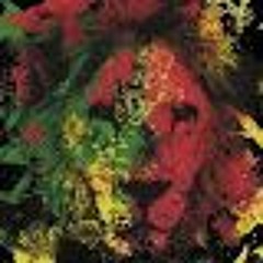 Birds Fly High 808 Rebirth James Cannon S-Class Beats