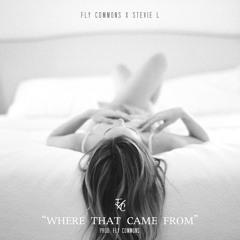 2- Where That Came From - Fly Commons & Stevie L [No Air EP]