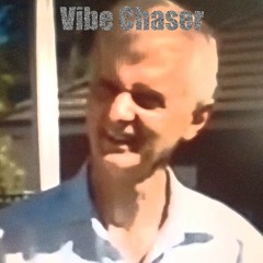 They Came Bounding Over (Vibe Chaser Remix)