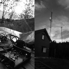 Episode 66: Erin Sexton