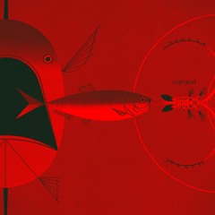 After The Word | @CHOYC3D