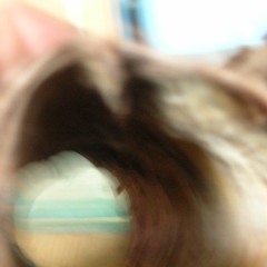 one with vortex power