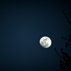 [ShiKa Cover] 但願人長久 (Originally by Teresa Teng 鄧麗君)