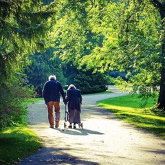 Cemal Süreya - Üvercinka