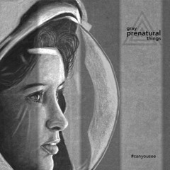 Gray Prenatural Things - Can You See