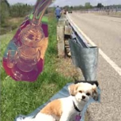 The Stony Creek Conspiracy