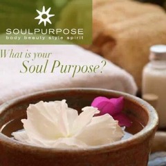 SoulPurpose Overview