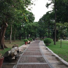 Kiss The Stars Goodnight (Demo)