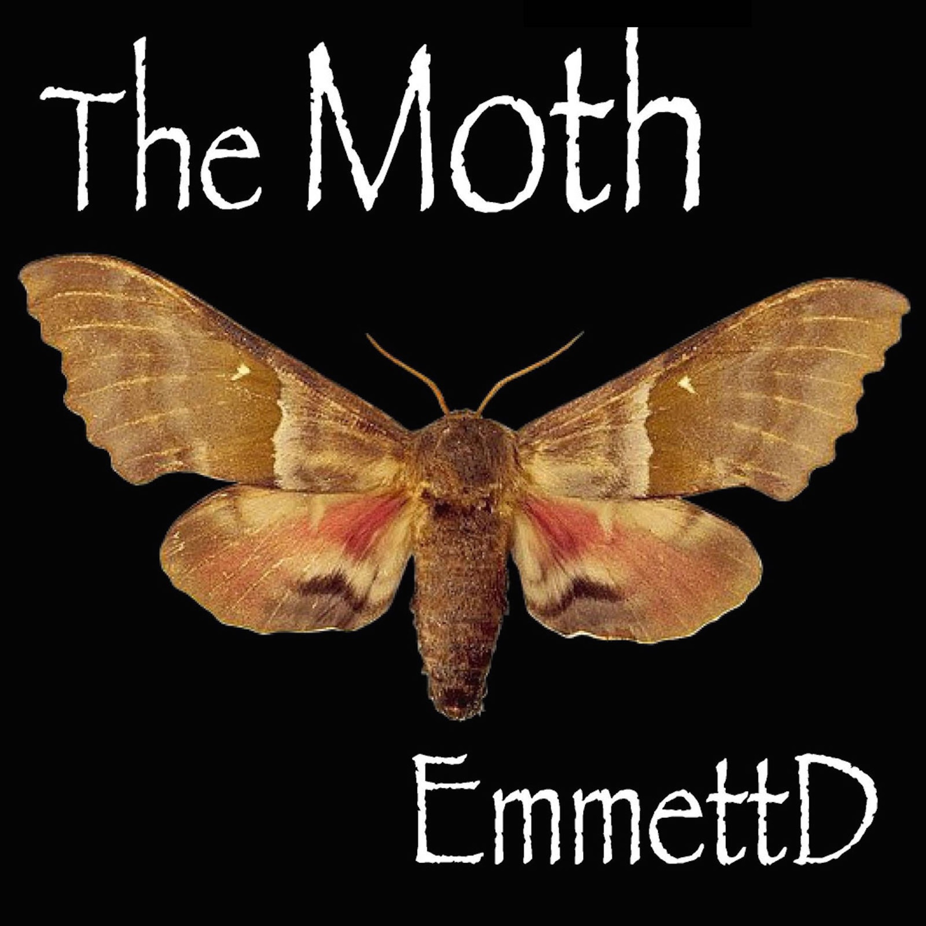 EmmettD