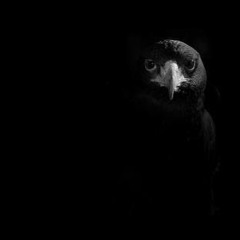 Rudrark & Sigma - Noir (original mix)