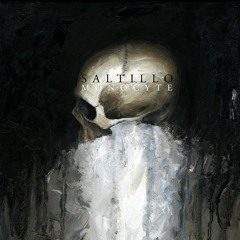Saltillo - The Locus Priory