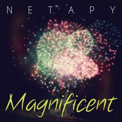 Netapy - Magnificent (Original Mix)