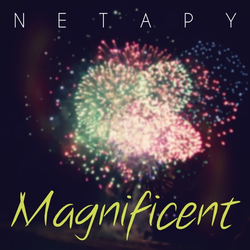 Netapy - Magnificent (Original Mix)