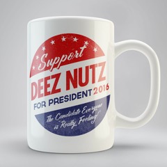 "So Many Politicians" by DJ's of Mass Destruction