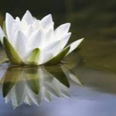 10 Minute Breathing Space