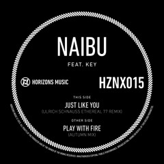 Naibu - Play With Fire (Naibu's Autumn Remix) - HZNX015B