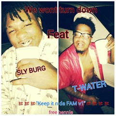 Won't turn down - Sly Burg feat. T-water