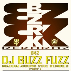 DJ Buzz Fuzz - Summertime ( DJ Freeze's Refix )