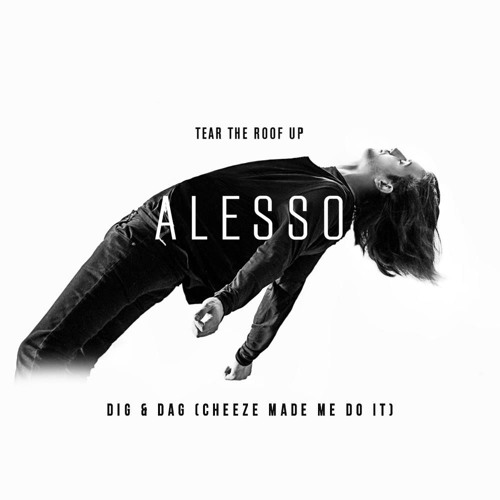 DIG & DaG - Tear The Roof Up (Cheeze Made Me Do It) **FREE DOWNLOAD**