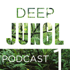Deep JUNGL Podcast 1 - JAUZ