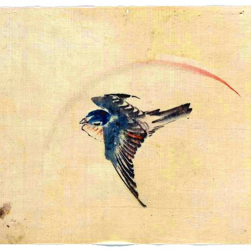 Fly High (SPENCER HIRTZZ PREVIEW)