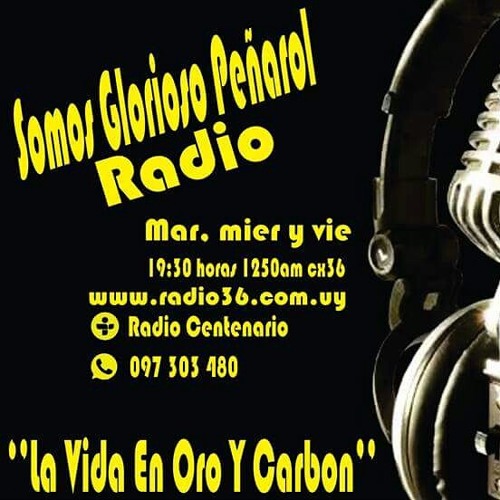 Stream Somos Glorioso Peñarol Radio segundo programa parte 1 by Glorioso  Peñarol | Listen online for free on SoundCloud