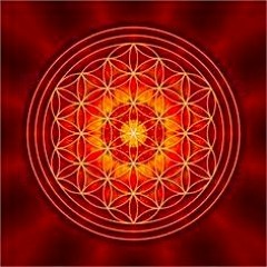 Nafyah - Vibratory Fields Mix 2015(Euphoric.Net Exclusive)