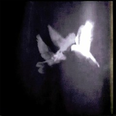 Lesser Individuals - Heaven Sent