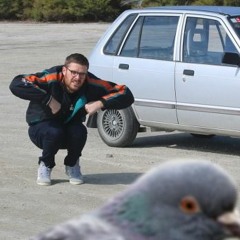 The Pigeon Song - Guy Williams featuring Scribe