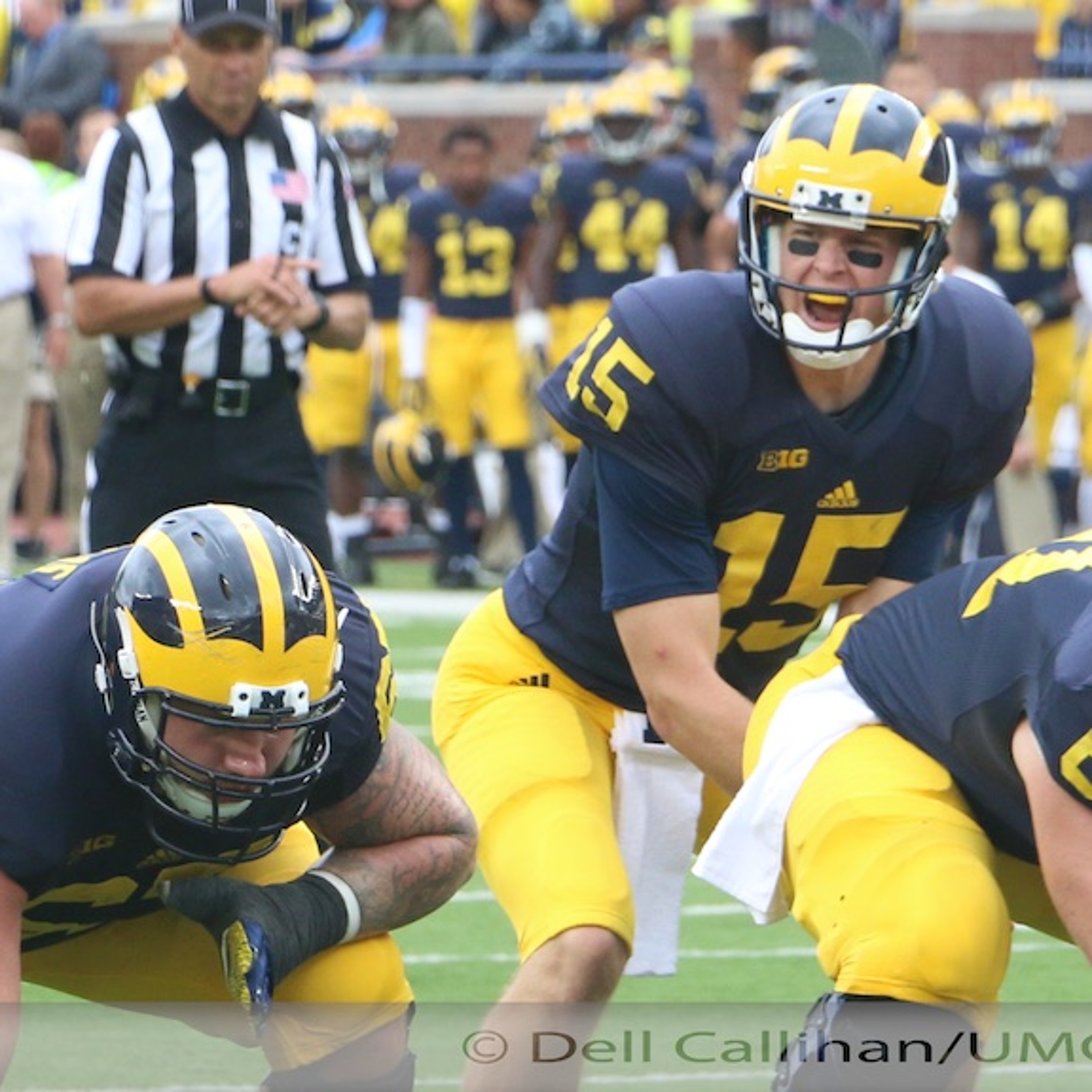 UMGoBlue.COM University of Michigan Wolverine Football Commentary