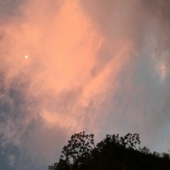 Oh Glorious Divine Love