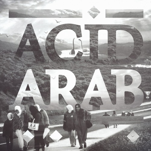 Acid Arab - Hafla (Instrumental)(Worldwide Premiere)