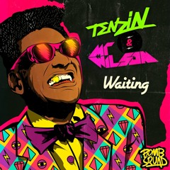 Tenzin & Mr Wilson- Waiting (Dimatik Remix)
