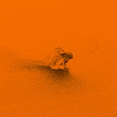 Dunes