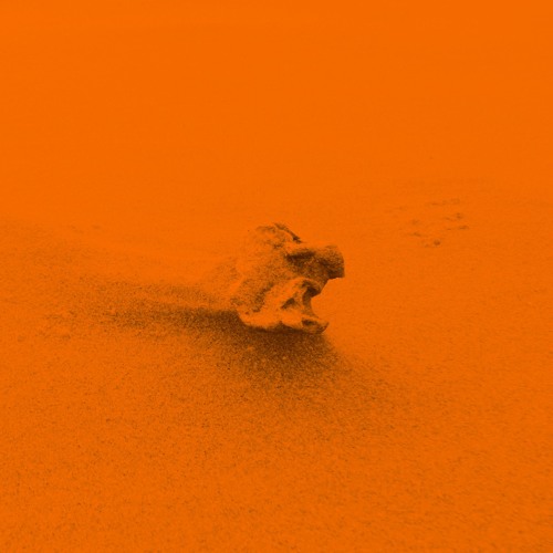Dunes