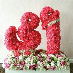 أمي كم أهواها ..... محمد المقيط