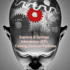 Sapiens & Springa - Introversion (Original Mix) - SC SNIPPET