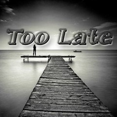 Too Late (Apologize Hard Trance Mix)