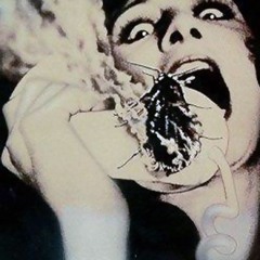 Ordinary Became Extraordinary