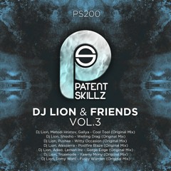 Dj Lion, Metodi Hristov, Gallya - Cool Tool (Original Mix) PS200