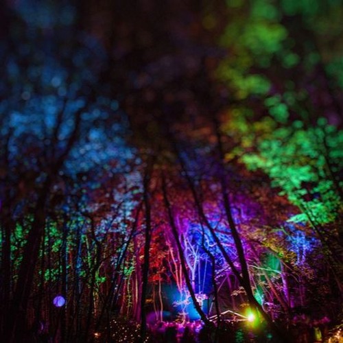 X 150731  |  Wer.if.est.er.i.a.  |  Scott Cameron