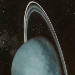 Sampling A Girl On Youtube