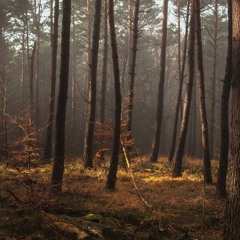 What We Leave Behind