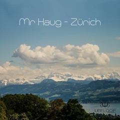 Mr. Haug - Zürich