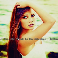 All That She  Wants Is The Situation - Willum
