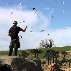 ZooParc de Beauval : Une vie peu ordinaire