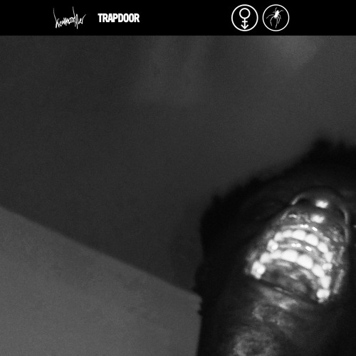 Dreamcrusher - Trapdoor (Ft. Secret Boyfriend)