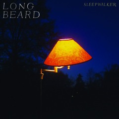 Long Beard - Dream