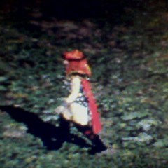 Atmosfera p.2. - bass, piano, beats, guitar