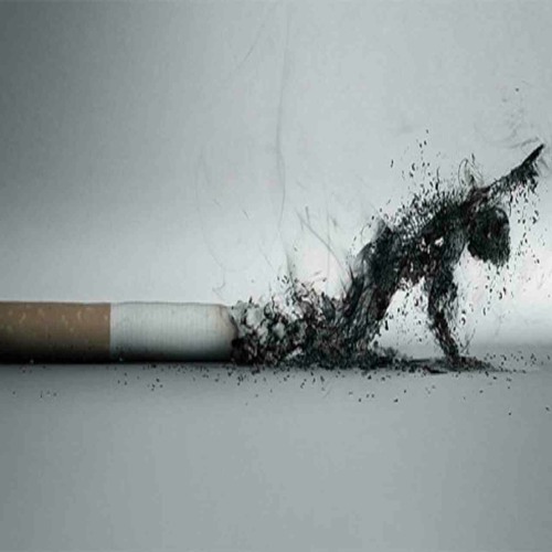 فرحة يوسف عجمي - المتمكنين